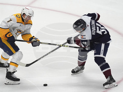 Predators Avalanche Hockey