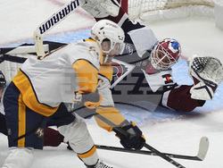Predators Avalanche Hockey