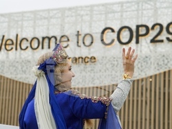 COP29 Climate Summit