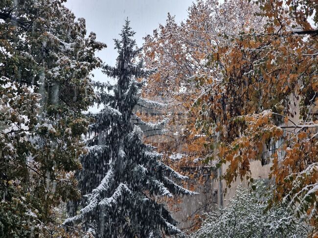 Прогноза за времето 