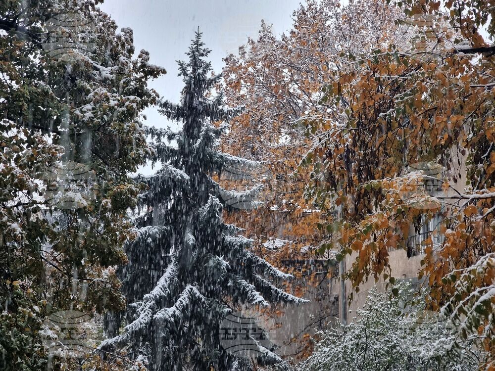 Сняг над столицата