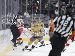 Hurricanes Golden Knights Hockey