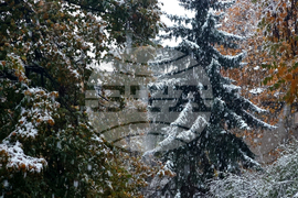 Сняг над столицата