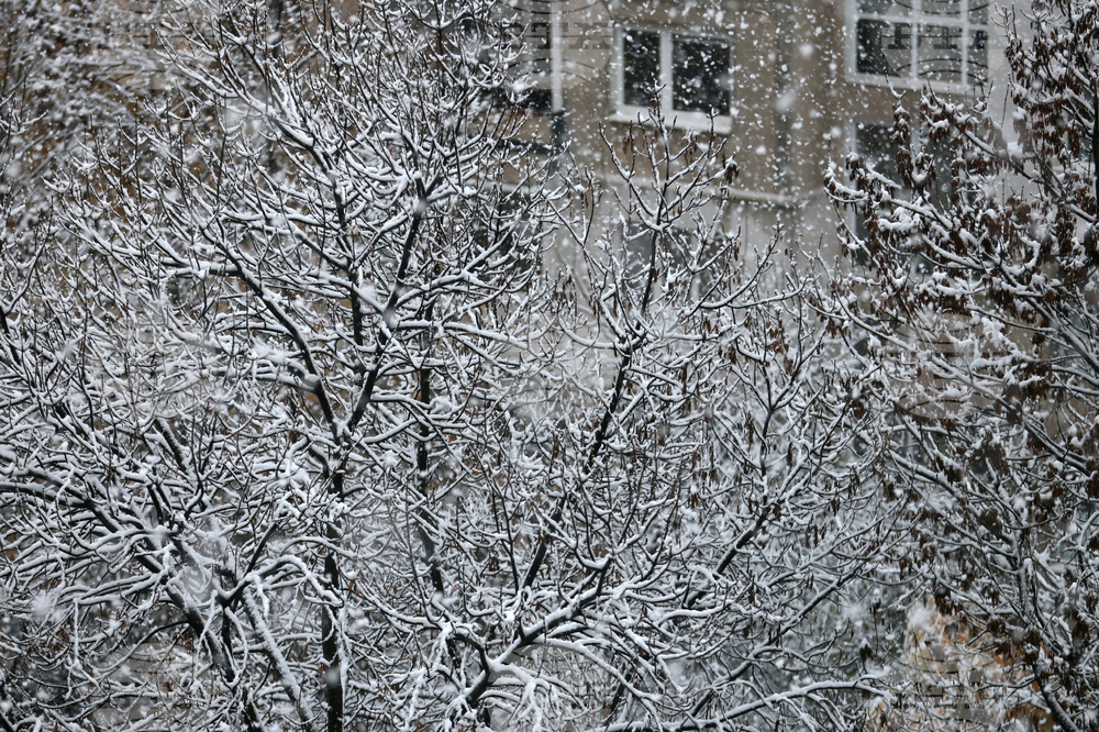 Столица - снеговалежи