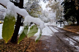 Столица - снеговалежи