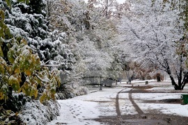 Столица - снеговалежи
