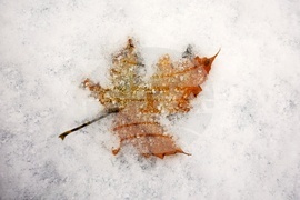 Столица - снеговалежи