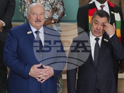 COP29 Climate Summit