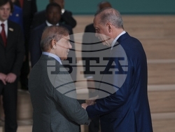 COP29 Climate Summit