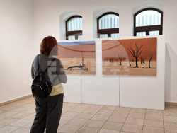 Варна - Сандро Арабян - изложба „Намибия/Природата”