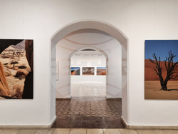 Варна - Сандро Арабян - изложба „Намибия/Природата”