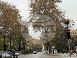 Снимка: Община Асеновград