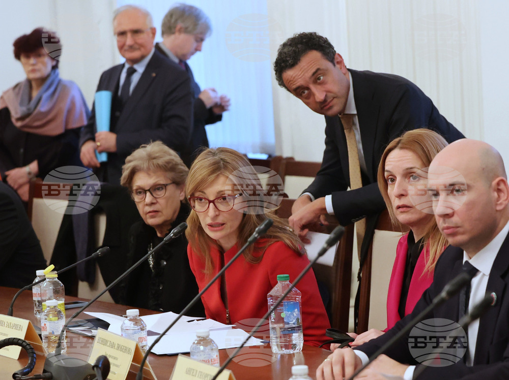 Парламент - Комисия по външна политика