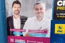 Румъния - предизборни плакати