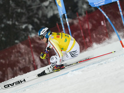 Austria Alpine Skiing World Cup