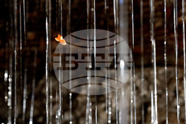 Варна - Юлиан Табаков - „Виждам те“ - изложба