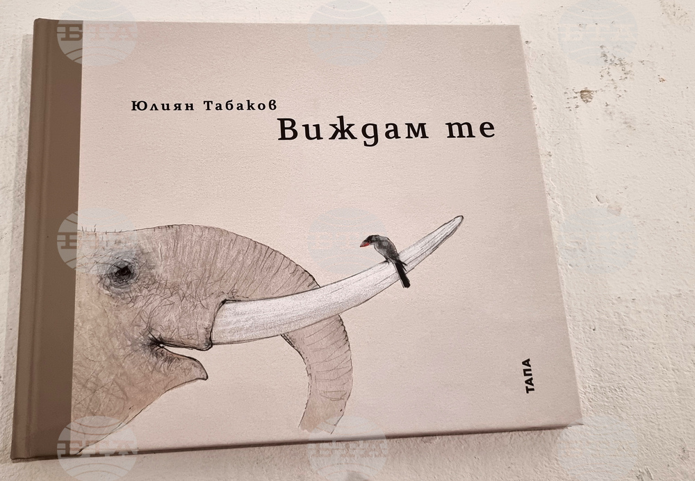 Варна - Юлиан Табаков - „Виждам те“ - изложба