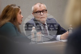 Конституция на Австрия - представяне - Харалд Троч