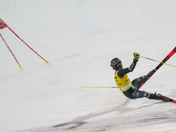 Austria Alpine Skiing World Cup