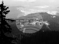 Родопите са включени в паневропейската инициатива "По-дива Европа"