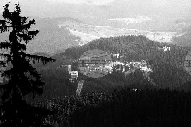 Ten Years Ago Today, Rhodope Mountains Was Included in Pan-European Rewilding Initiative