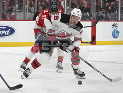 Devils Panthers Hockey