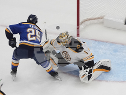 Bruins Blues Hockey