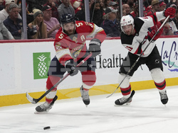 Devils Panthers Hockey