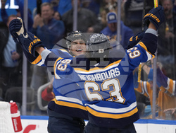 Bruins Blues Hockey