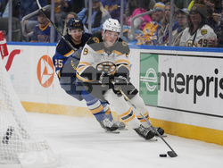 Bruins Blues Hockey
