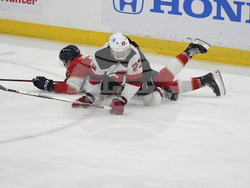 Devils Panthers Hockey