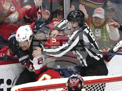 Devils Panthers Hockey