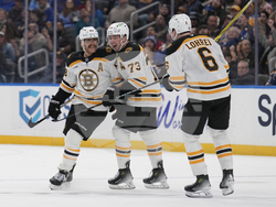 Bruins Blues Hockey