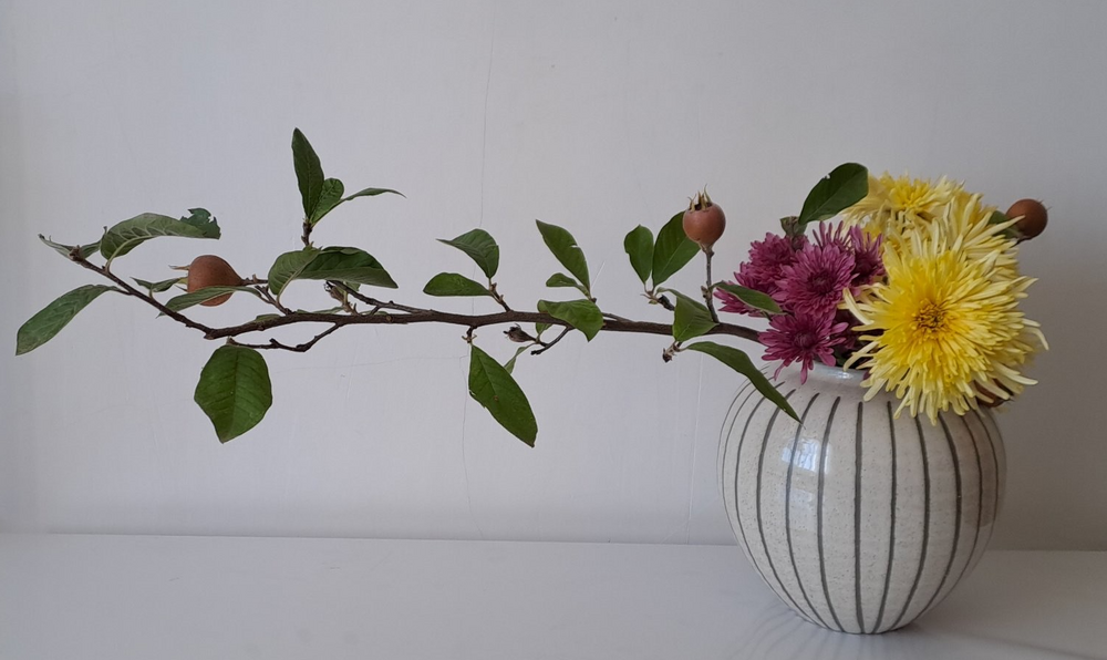 Приказки с цветя в Национален музей "Земята и хората"