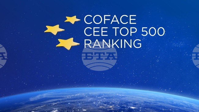 Големите компании в Централна и Източна Европа показват устойчивост въпреки сложната икономическа среда, сочи проучване