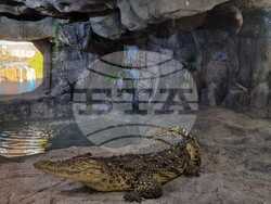 Пловдив - Природонаучен музей - инициативи