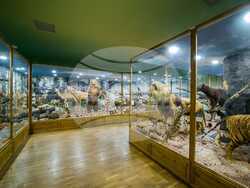 Пловдив - Природонаучен музей - инициативи