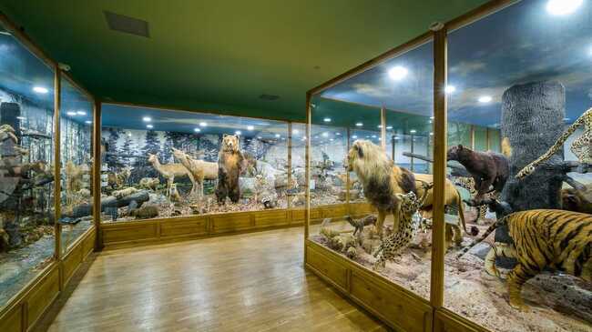 Регионален природонаучен музей – Пловдив кани представителите на медиите на пресконференция