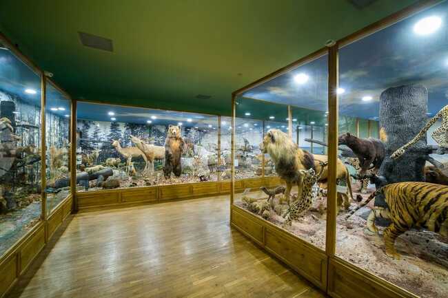 Регионален природонаучен музей – Пловдив кани представителите на медиите на пресконференция