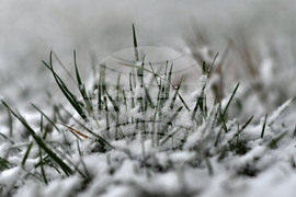 Село Голям Поровец - зима - първи сняг