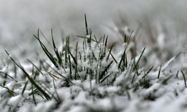 Село Голям Поровец - зима - първи сняг