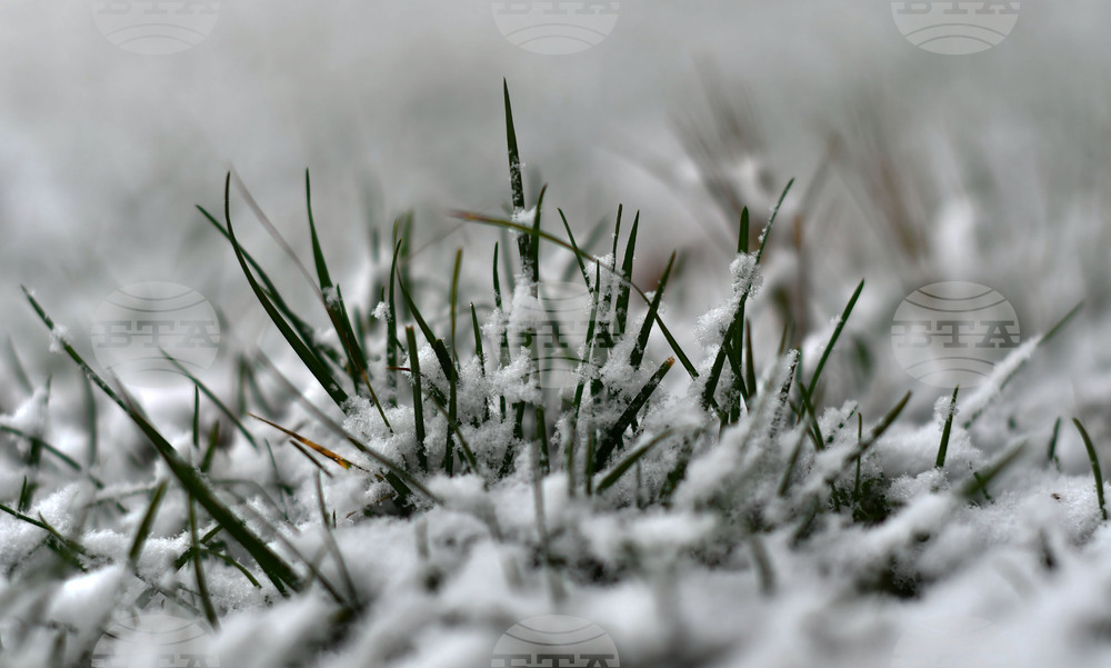 Село Голям Поровец - зима - първи сняг