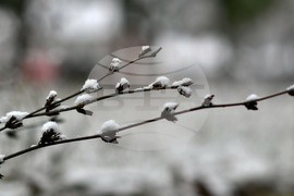 Село Голям Поровец - зима - първи сняг