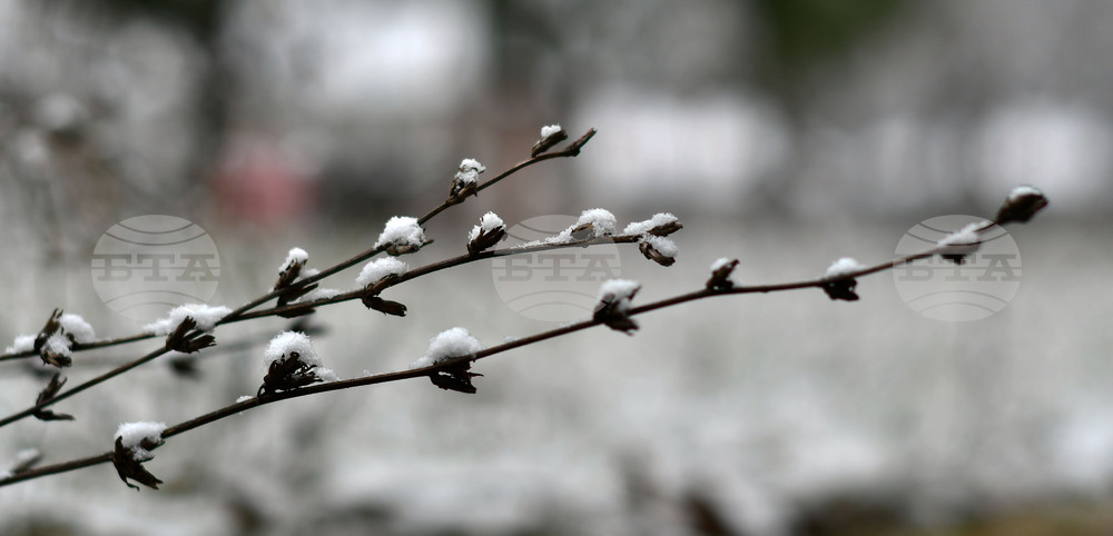 Село Голям Поровец - зима - първи сняг