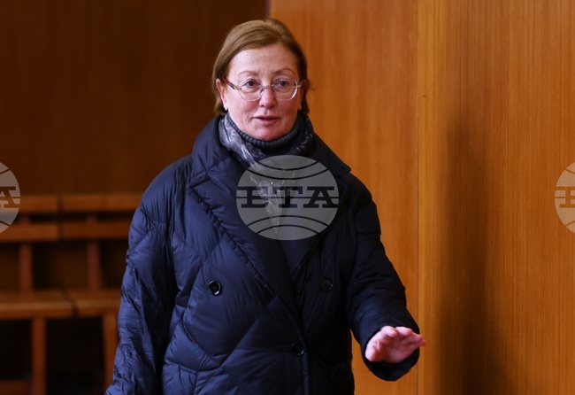 Радостин Василев - дело