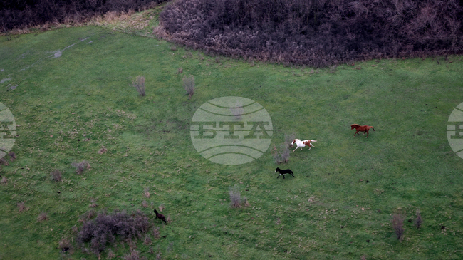 Граждани от Сливен започнаха подписка срещу промяна на статута на 400 дка пасища в защитената зона „Каменски баир“