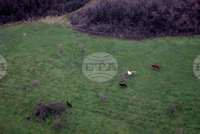 Граждани от Сливен започнаха подписка срещу промяна на статута на 400 дка пасища в защитената зона „Каменски баир“