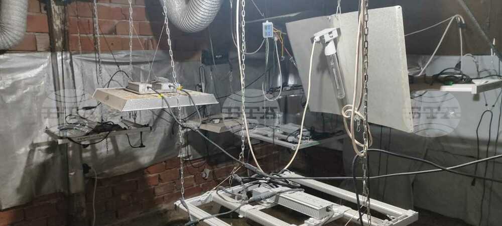 Police Bust Laboratory for Growing Marijuana in Elhovo Village