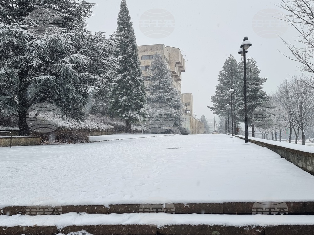 Смолян - сняг