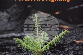 Благоевград - проект - пожари - конференция